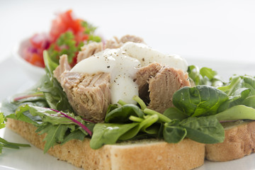 Open Tuna Salad Sandwich