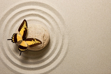 Naklejka na ściany i meble Zen stone z motylem