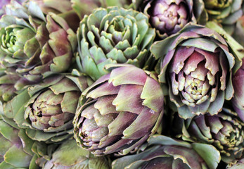 Obraz premium harvest of freshly artichokes
