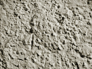 Relief Concret Wall Texture