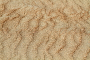 Waves of sand