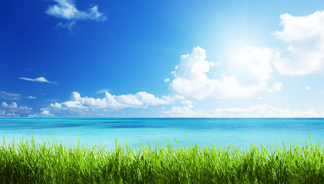 sea and grass at sunny day