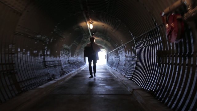 Scientist Fleeing with Top Secret Information
