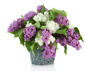 Beautiful lilac flowers in  wicker vase, isolated on white