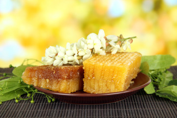 Honeycombs with flowers of lime, acacia