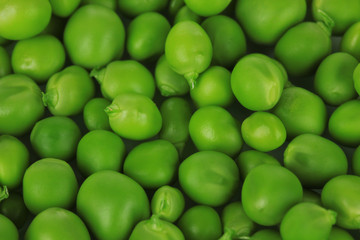 Sweet green peas close-up