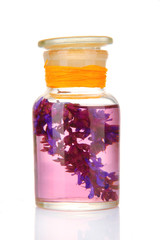 Medicine bottle with salvia flowers, isolated on white