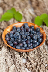 Bowl of blueberries