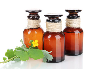 Blooming Celandine with medicine bottles isolated on white