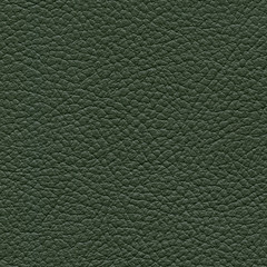 Fototapeta premium leather texture