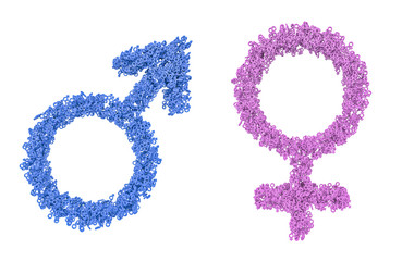 Male female gender symbols