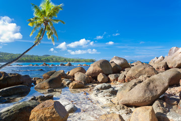 paysage des Seychelles, lagon, rochers et cocotier