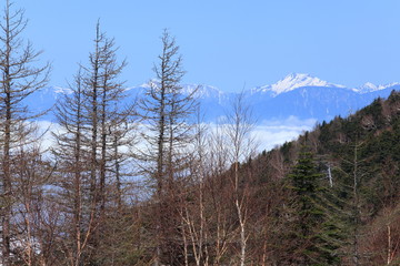 富士山スカイラインから南アルプスを望む