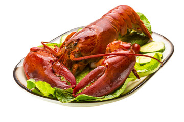 Large Lobster