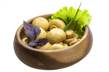 Ripe fresh Champignon