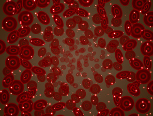 circulation of blood