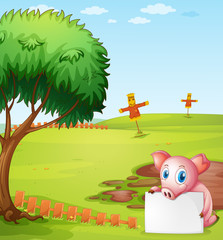 A pig holding an empty board at the farm