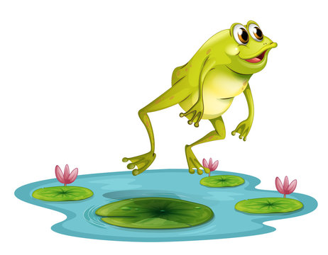 A Jumping Frog At The Pond