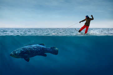 Snowboarder Surfing on Waves with the Fish on a Leash