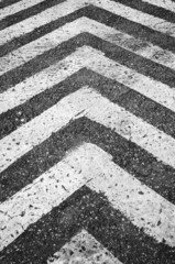 Zebra, road crosswalk texture