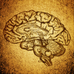 cursory drawing brain on grunge texture background - 52889606
