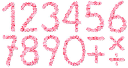 Numeri di petali rosa