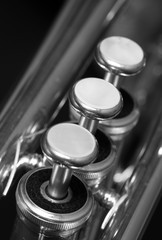 Trumpet Valves closeup