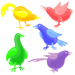 colorful birds