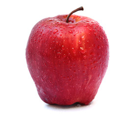 Red apple with water drops isolated on white