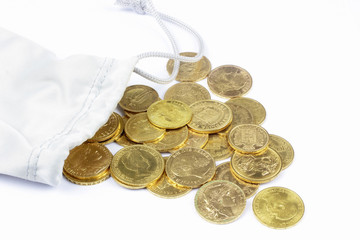 purse with gold coins