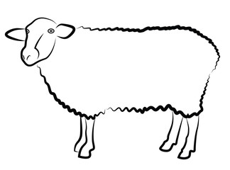 Sheep silhouette isolated on white