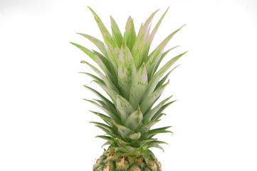 Closed up green leaf pineapple on white background