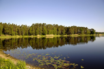 Fototapeta na wymiar Beautiful Valguma lake not far from Tukums, Latvia.