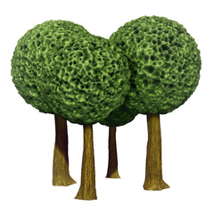 Ball shaped trees, 3d based