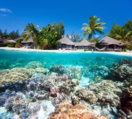 Deurstickers Tropical island © BlueOrange Studio