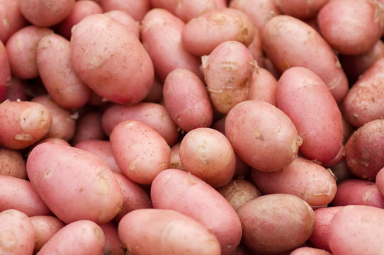 pink potatoes