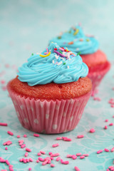 Pink and blue cupcake