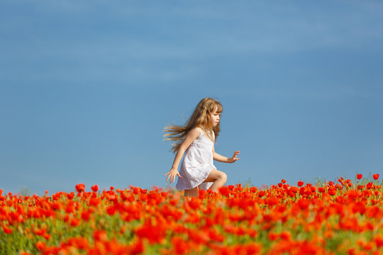 little girl in a poppy field