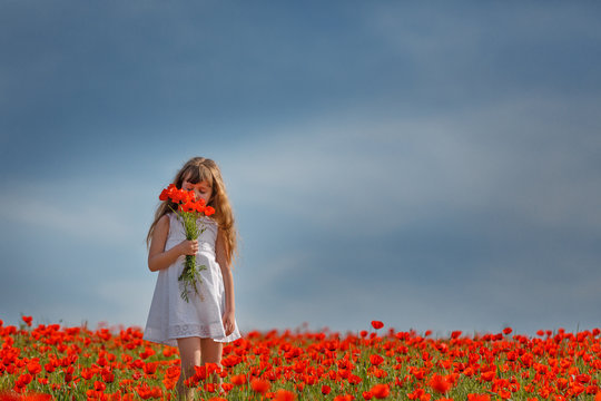 little girl in a poppy field