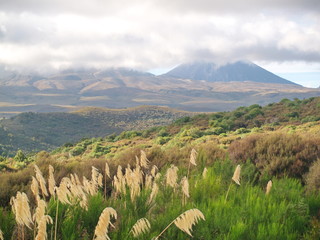 Mount Ngauruhoe in New Zealand