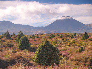 Mount Ngauruhoe in New Zealand