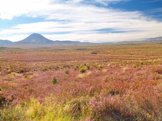Mount Ngauruhoe in New Zealand