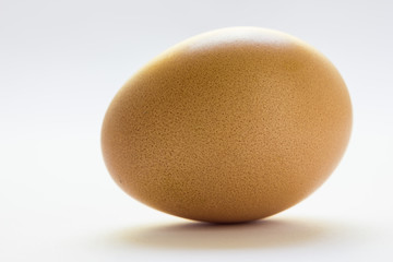 Egg