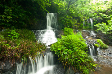 Fototapeta na wymiar Wodospad świeżej zieleni