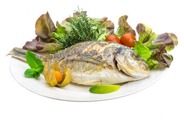 Dorado grilled
