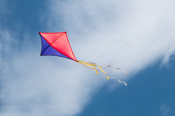 Kite flying in the sky