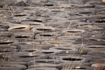 Dumped old car tires