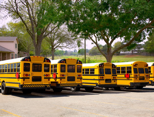 American typical school buses row in a park outdoor