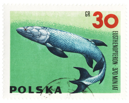 Prehistoric fish Eusthenopteron on post stamp