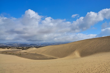 Fototapeta na wymiar Sanddüne bei Maspalomas, Gran Canaria